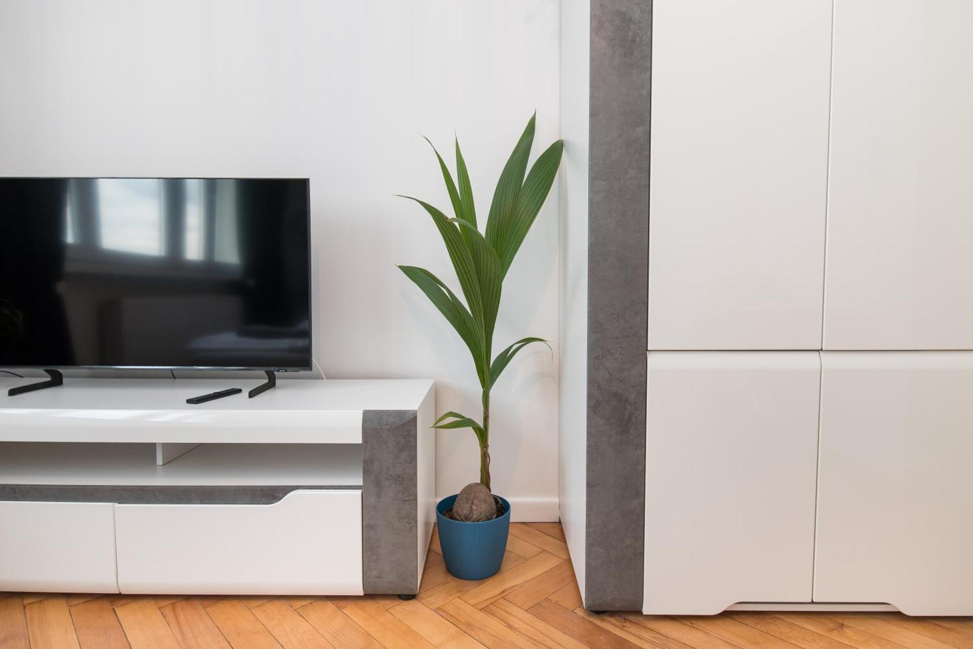 Apartament Dworcowa 24 Γκλίβιτσε Εξωτερικό φωτογραφία